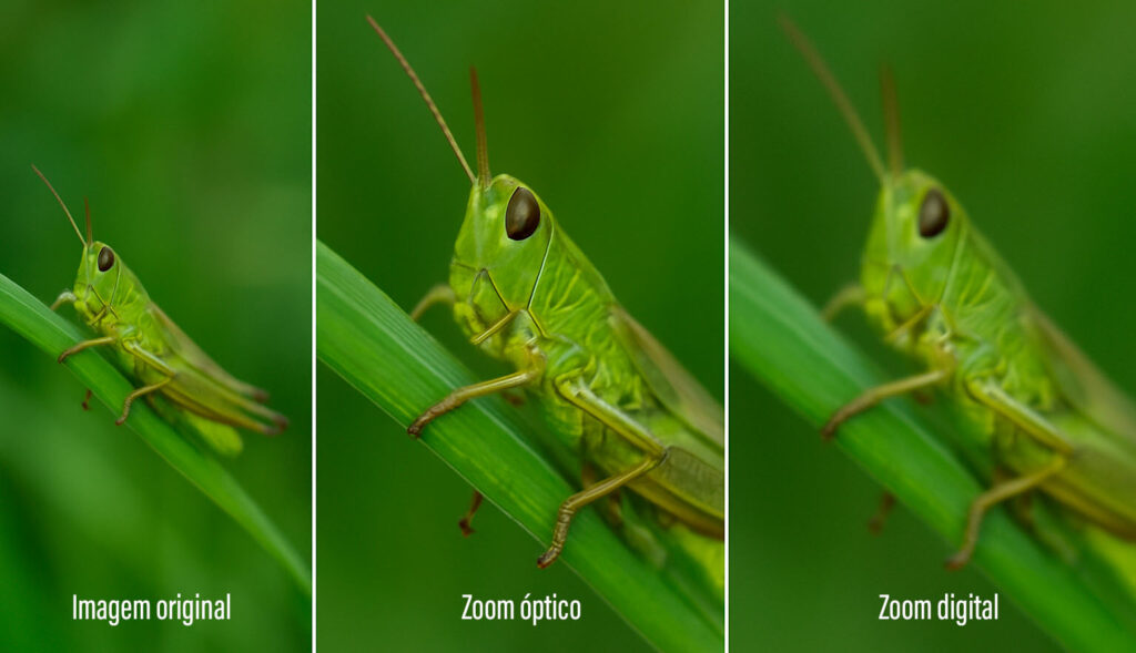 Zoom óptico aproxima de verdade; digital só "estica" a foto